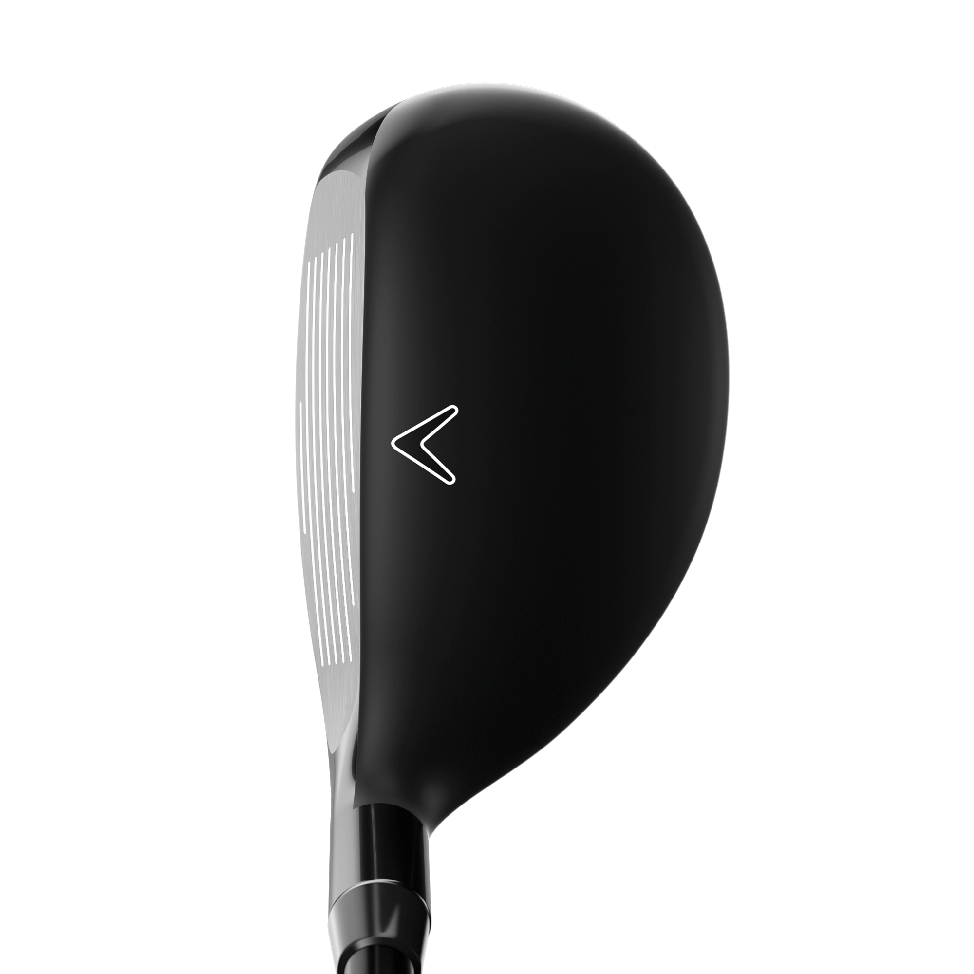 Rogue ST '24 MAX Hybrids