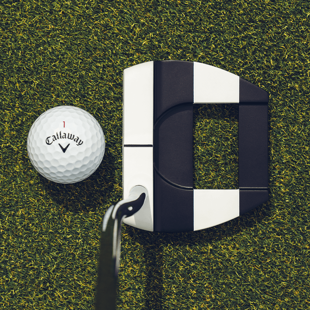 Ai-DUAL Jailbird Mini Putter