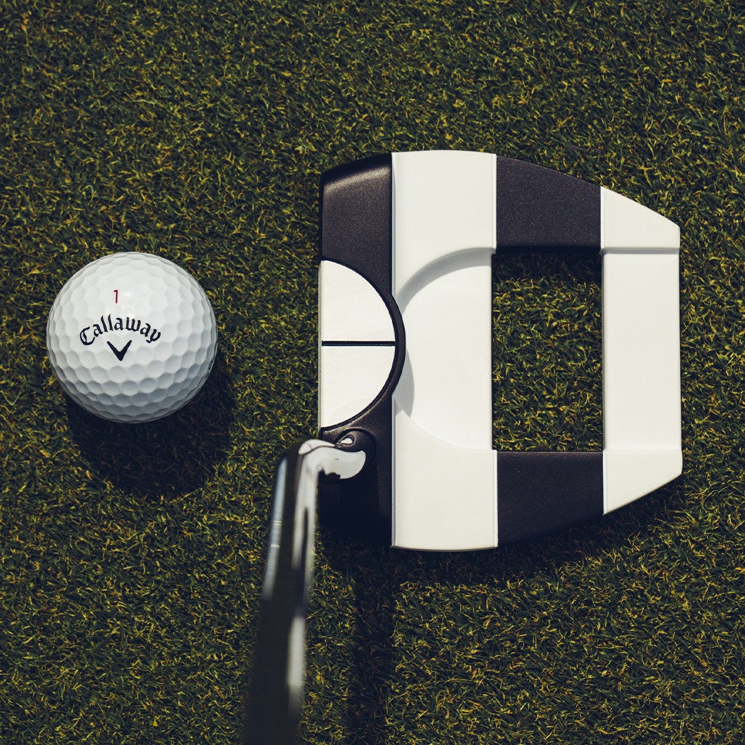 Ai-DUAL Jailbird 1/2 Ball Cruiser Putter 2 Ai-DUAL Jailbird 1/2 Ball Cruiser Putter
